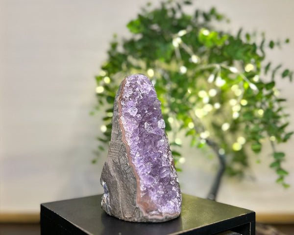 Collection Quality Amethyst