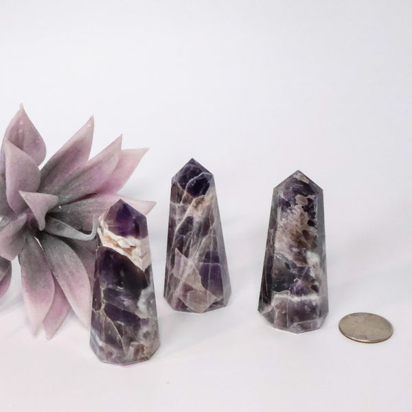 Amethyst Thick Point (2.5" Avg) | Dream Amethyst Tower | Chevron Amethyst Tower - Lucid Willow - Crystal
