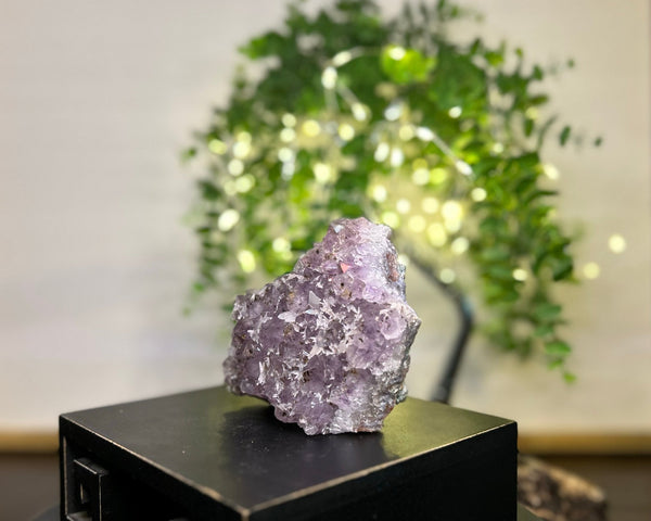 Amethyst x Calcite x Rutile Cluster Crystal #C088 | Collection Quality Amethyst - Lucid Willow - Crystal