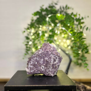 Amethyst x Calcite x Rutile Cluster Crystal #C088 | Collection Quality Amethyst - Lucid Willow - Crystal