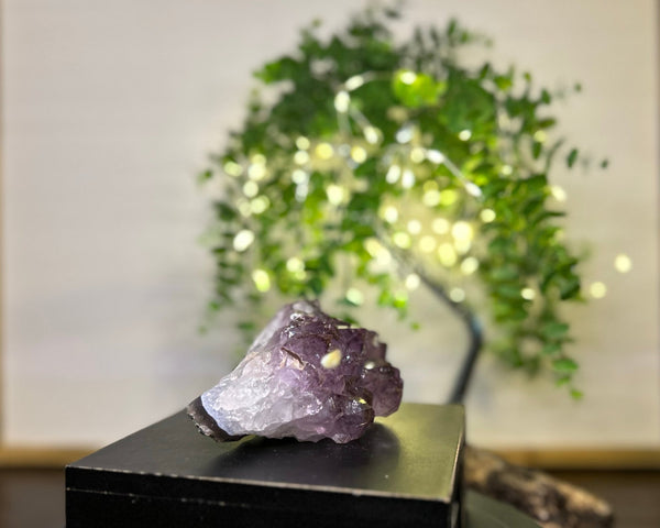 Amethyst x Rutile Cluster Crystal #C093 | Collection Quality Amethyst - Lucid Willow - Crystal