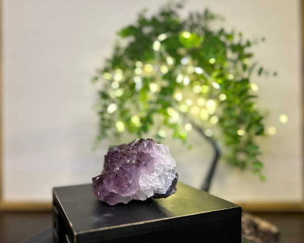 Amethyst x Rutile Cluster Crystal #C093 | Collection Quality Amethyst - Lucid Willow - Crystal
