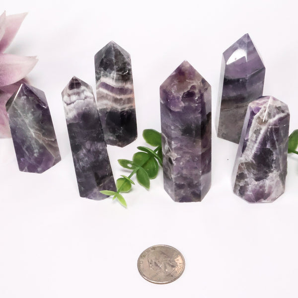 Amethyst Thick Point (2-4" Avg) | Dream Amethyst Tower | Chevron Amethyst Tower - Lucid Willow - Crystal