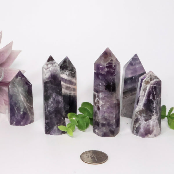 Amethyst Thick Point (2-4" Avg) | Dream Amethyst Tower | Chevron Amethyst Tower - Lucid Willow - Crystal