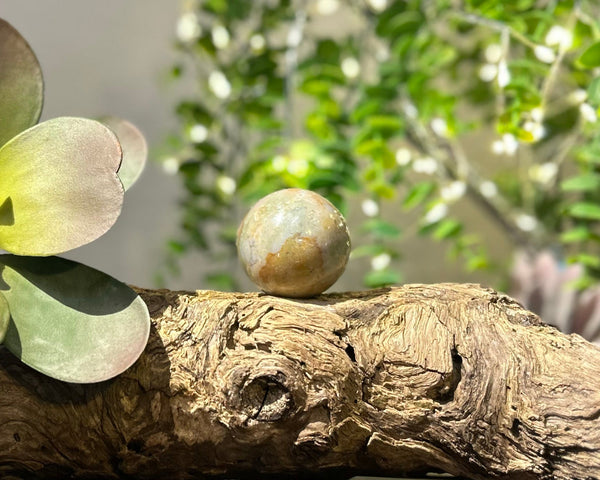 Fancy Jasper Crystal Sphere #S011 | 43mm Diameter - Lucid Willow - Crystal
