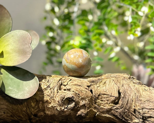 Fancy Jasper Crystal Sphere #S011 | 43mm Diameter - Lucid Willow - Crystal