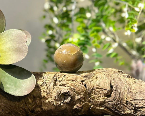 Fancy Jasper Crystal Sphere #S007 | 47mm Diameter - Lucid Willow - Crystal