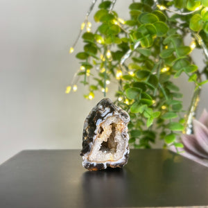 Oco Agate Geode #C105 - Lucid Willow - Crystal
