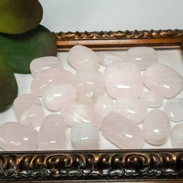 Pink Mangano Calcite Tumbled Stones (1-1.5" Avg) #C112 - Lucid Willow - Crystal