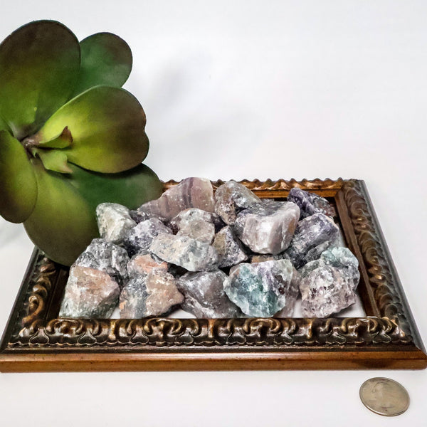 Rainbow Fluorite Raw Stones (0.5 - 2.0" Avg) #C113 - Lucid Willow - Crystal