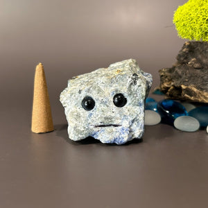 Sodalite Crystal Buddy - Lucius - Lucid Willow - Crystal Buddy