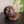 Sphere Soapstone Incense Cone Burner #M038 - Lucid Willow - Spiritual