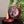 Tree Sphere Soapstone Incense Cone Burner #M039 - Lucid Willow - Spiritual